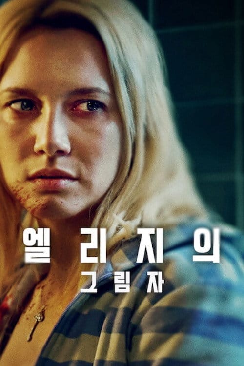 엘리지의 그림자 포스터