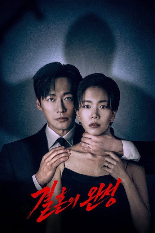 결혼의 완성 줄거리, 출연진, OTT 정보 총정리 1 결혼의 완성 포스터